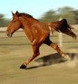Click image for larger version

Name:	image007.gif
Views:	76
Size:	176.2 KB
ID:	224269