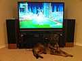 Click image for larger version

Name:	photo1.JPG
Views:	102
Size:	82.4 KB
ID:	224370