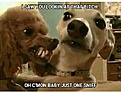 Click image for larger version

Name:	uploadfromtaptalk948068635342.jpg
Views:	109
Size:	35.3 KB
ID:	224531